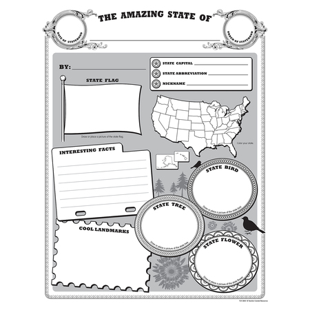 TEACHER CREATED RESOURCES Amazing State Poster, PK 32 5800